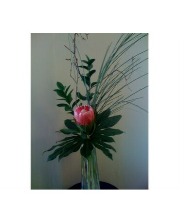 Zen Arrangement (Mod 300)